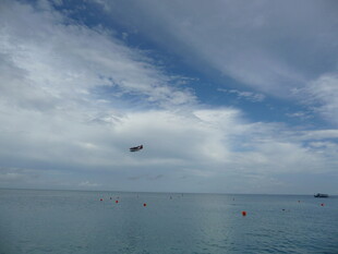 海上飞鸟伴蓝天白云