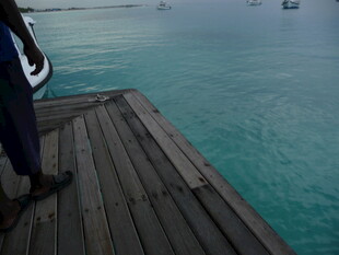 海边木栈道上的身影