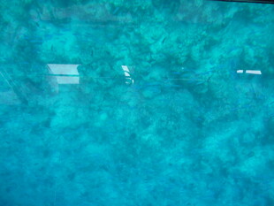 清澈蓝水下的海底景象