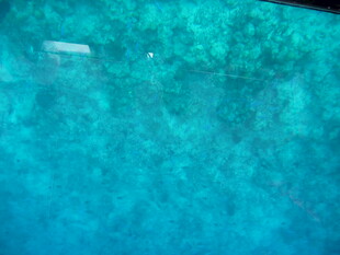 蓝绿色水底景象