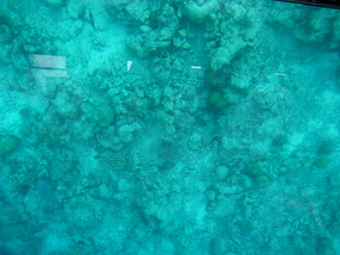 清澈蓝绿色水底景观