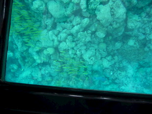 屏幕显示的绿斑图案