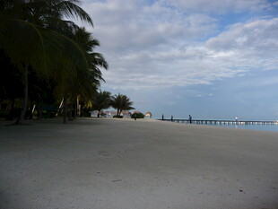 宁静沙滩与远处的棕榈树