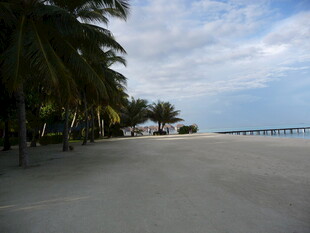沙滩椰林旁的海边美景