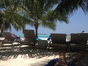 沙滩椰树下的休闲度假场景