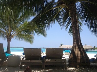 热带海滩休闲躺椅美景