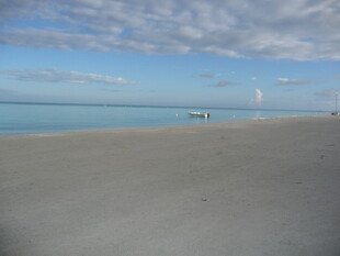 海滩风光 宁静的蓝色海洋