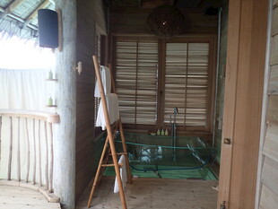 木质小屋内景及晾晒架