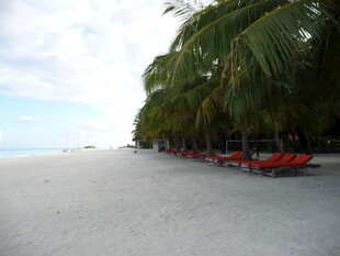 热带沙滩上的椰树与躺椅