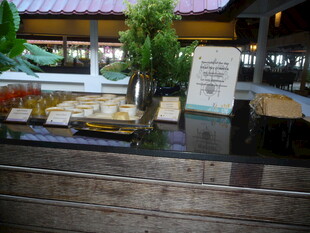 日式庭院景观一角