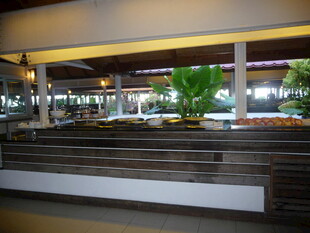 室内绿植景观展示区