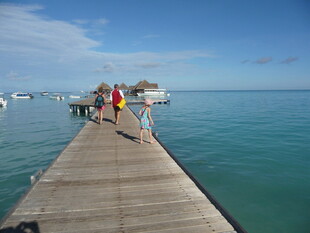 海边木栈道上的欢乐游客