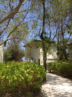 林间小道旁的静谧小屋