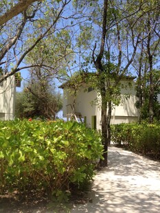 庭院绿植环绕的幽静小径