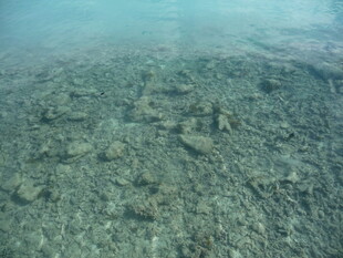 清澈海底的礁石景观