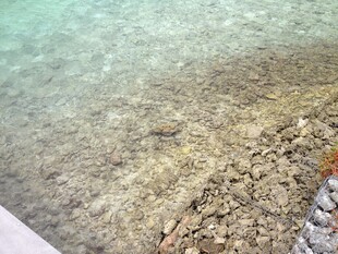 清澈水底的沙石景观