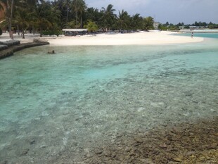 美丽海岛清澈海水景观