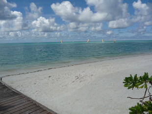 美丽海滨沙滩风光