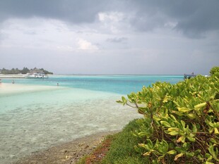 美丽海岛风光 绿植伴海