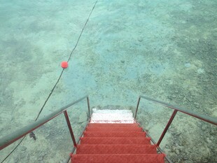 通往海底的红色阶梯