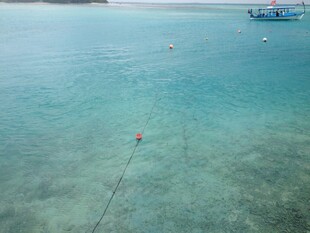 清澈海域中的绳索与船只