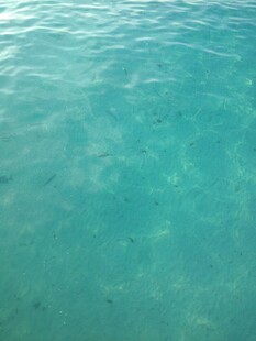 清澈碧绿的海面