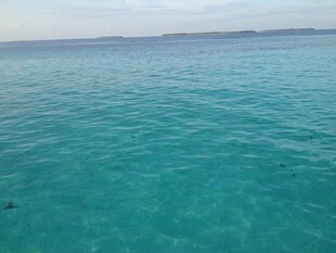 清澈碧蓝的广阔海面