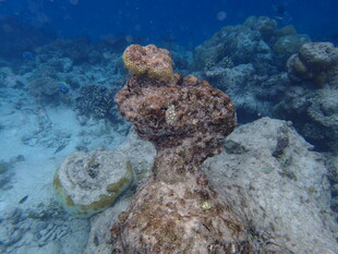 海底独特礁石景观