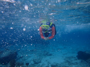 潜水员水下漂浮场景