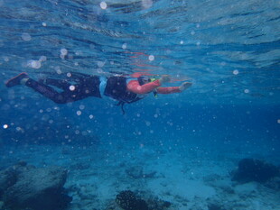 马尔代夫水下潜水者畅游美丽海底