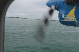 马尔代夫船边跃起的鱼