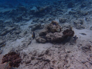 海底的神秘古老残骸