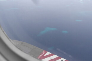 飞机窗外的海中蓝绿色物体