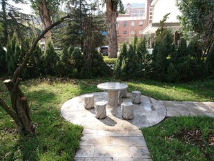 庭院中的石桌石凳景观