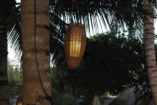 棕榈树间的别致竹制灯笼