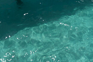 清澈见底的海底水面景象