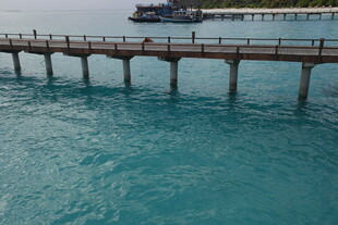 马尔代夫海上栈桥延伸至碧蓝海水