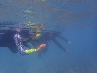 水下潜水者的精彩瞬间