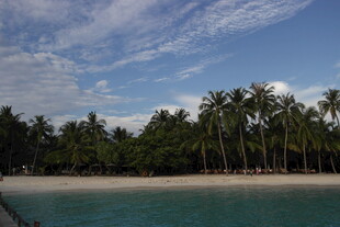 热带海滨风光 椰林碧海