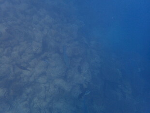 马尔代夫深海海底景象