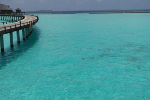 马尔代夫马尔代夫美丽栈桥与碧海