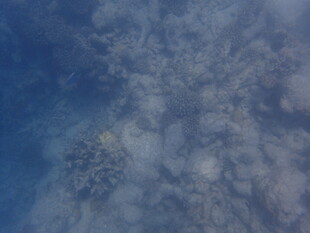 马尔代夫蓝色云雾背景纹理图