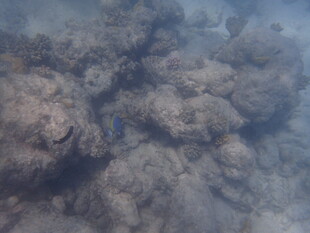 马尔代夫滚滚浓烟弥漫天际