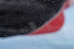 马尔代夫模糊的红黑物体局部