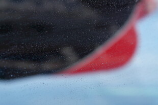 马尔代夫模糊物体局部特写