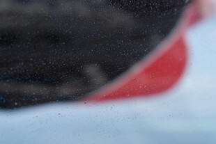 马尔代夫模糊的红黑物体局部