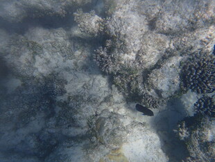 高空俯瞰地貌景观