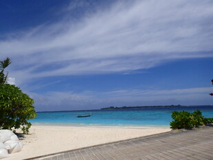 美丽海滨沙滩风光