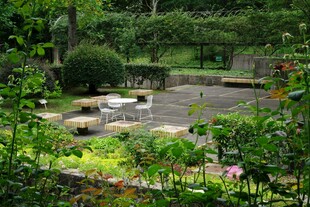 静谧花园景观