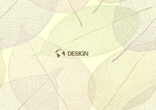 平面设计 作品集目录  极简风